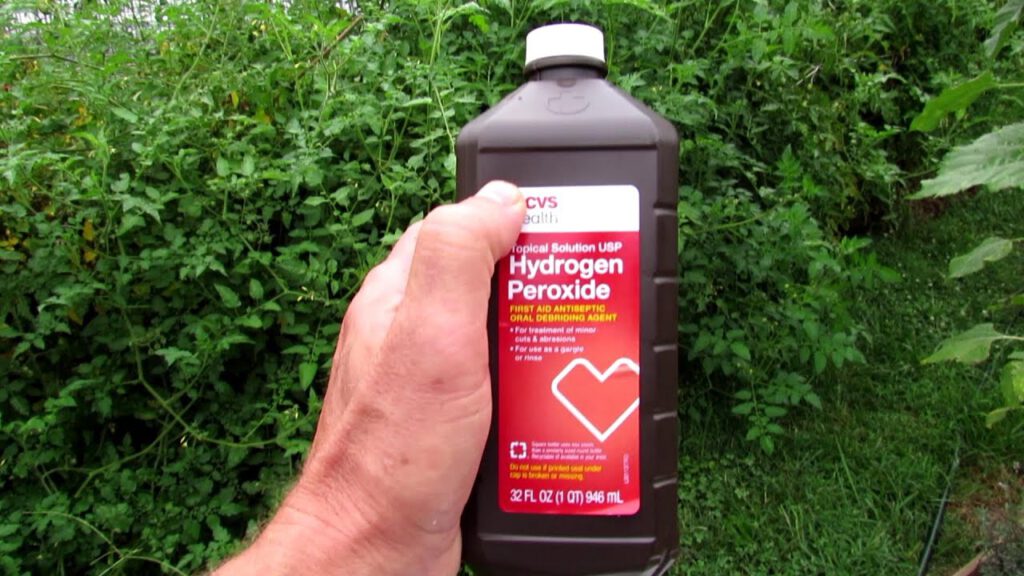 hydrogen-newstamilonline