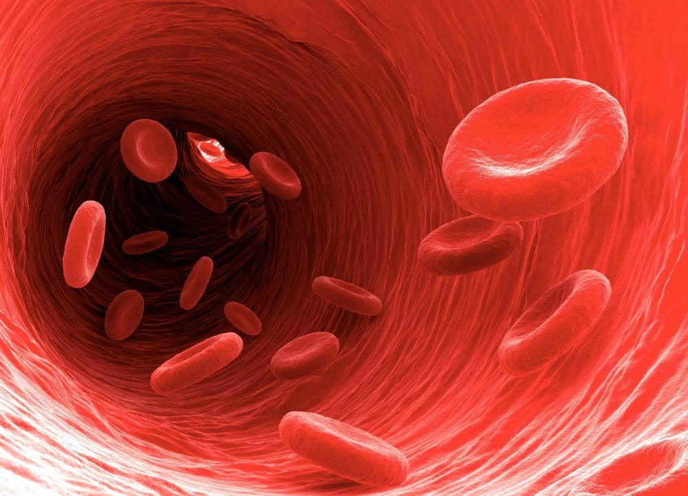 Blood Purifying Foods - newstamilonline