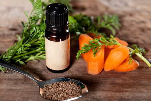 Carrot oil benefits - newstamilonline