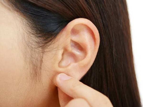How the ear works - newstamilonline