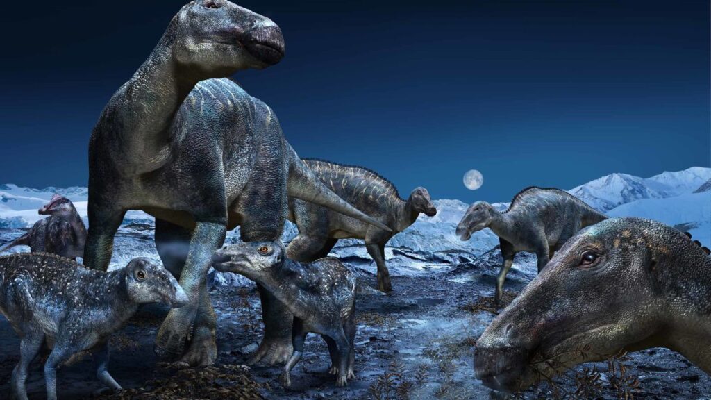 Dinosaurs Unknown Facts - newstamilonline