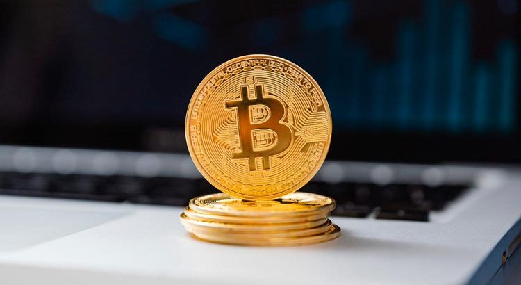 El salvador currency Bitcoin new - newstamilonline