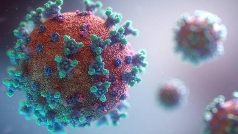 coronavirus variant names - newstamilonline