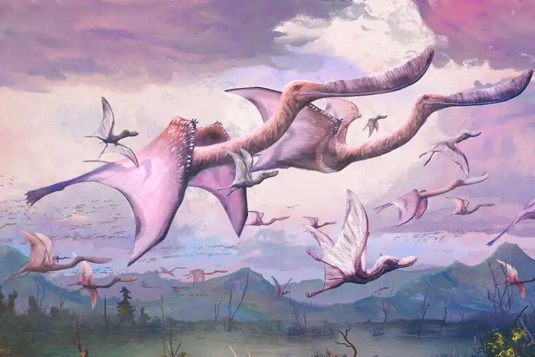 How-Do-Baby-Pterosaur-Fly-newstamilonline
